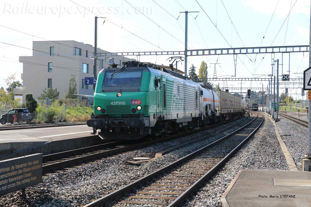 BB 37060 SNCF à Morges (CH)