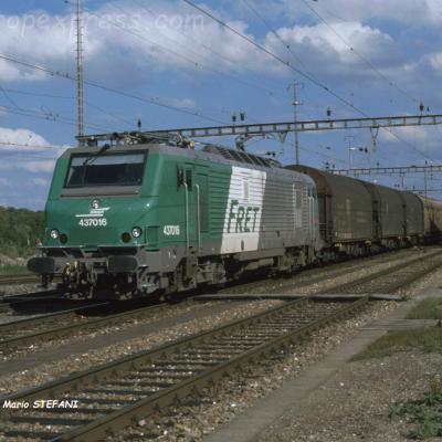 BB 37016 SNCF à Muttenz (CH)