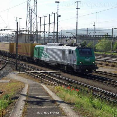 BB 37003 SNCF à Muttenz (CH)