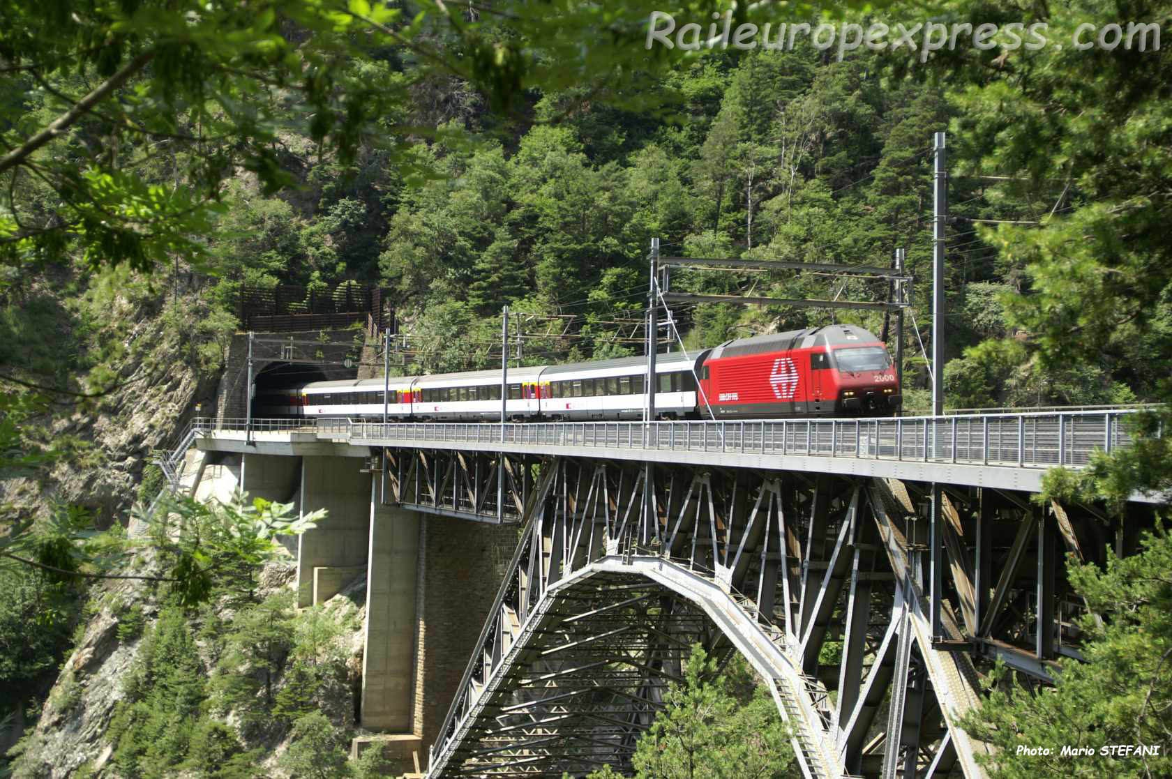 Re 460 CFF au pont du Bietschtal (CH)