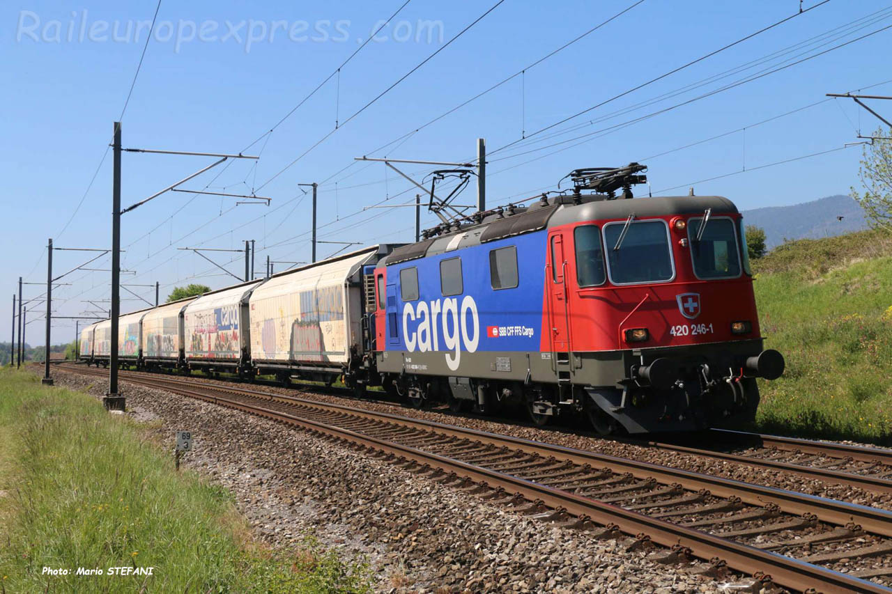 Re 420 246-1 CFF à Auvernier (CH)