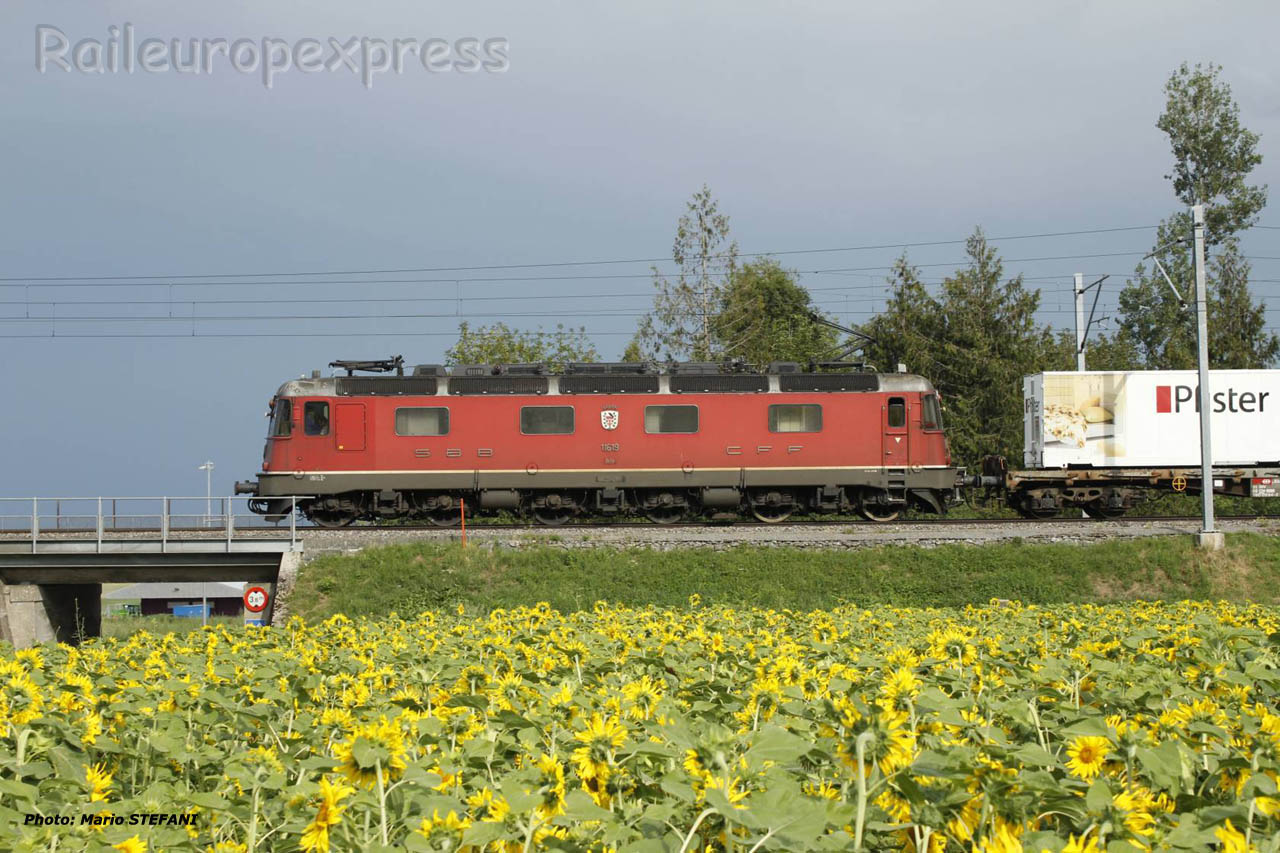 Re 6/6 11619 CFF à Boudry (CH)