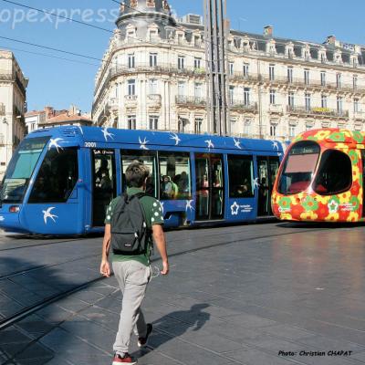 Trams lignes 1 et 2 à Montpellier (F-34)